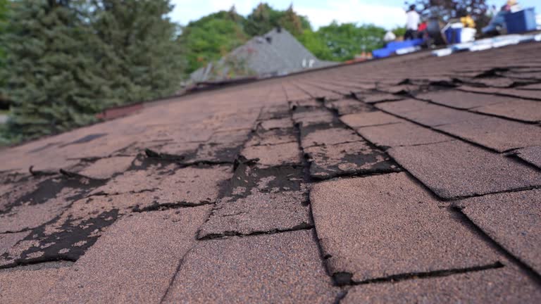 Fast & Reliable Emergency Roof Repairs in Pompano Beach, FL